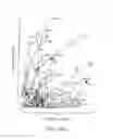 Fig. 88 - Methods for treating hair loss disorders