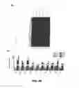Fig. 92 - Methods for treating hair loss disorders