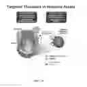 Fig. 21 - Methods for treating hair loss disorders