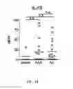Fig. 31 - Methods for treating hair loss disorders