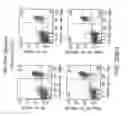 Fig. 43 - Methods for treating hair loss disorders