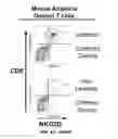 Fig. 54 - Methods for treating hair loss disorders