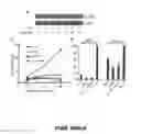 Fig. 74 - Methods for treating hair loss disorders