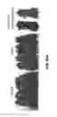 Fig. 75 - Methods for treating hair loss disorders