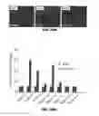Fig. 83 - Methods for treating hair loss disorders