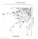 Fig. 88 - Methods for treating hair loss disorders
