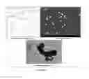 Fig. 09 - COMPOSITION AND FORMULATION OF ANTIMICROBIAL AGENTS, PROCESSES THEREOF AND METHODS FOR TREATING MICROBIAL INFECTIONS