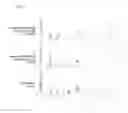 Fig. 02 - MAILLARD REACTION INHIBITOR
