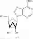 Fig. 30 - Nucleoside and nucleotide derivatives