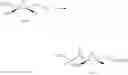 Fig. 34 - Nucleoside and nucleotide derivatives