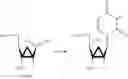 Fig. 41 - Nucleoside and nucleotide derivatives