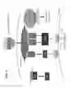 Fig. 02 - Anti-tumor compositions and methods