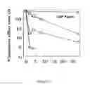 Fig. 02 - GALACTOSE-PRONGED POLYSACCHARIDES IN A FORMULATION FOR ANTIFIBROTIC THERAPIES