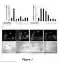 Fig. 04 - USE OF TRANSPLATIN TO PREVENT HEARING LOSS