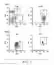Fig. 02 - Methods and compositions of treating autoimmune diseases