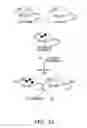 Fig. 13 - Methods and compositions of treating autoimmune diseases