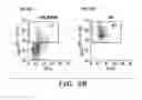 Fig. 14 - Methods and compositions of treating autoimmune diseases