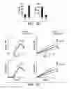 Fig. 16 - Methods and compositions of treating autoimmune diseases