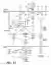 Fig. 23 - Methods and compositions of treating autoimmune diseases