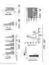 Fig. 27 - Methods and compositions of treating autoimmune diseases