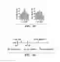 Fig. 28 - Methods and compositions of treating autoimmune diseases
