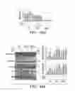 Fig. 33 - Methods and compositions of treating autoimmune diseases