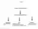 Fig. 05 - Method of treating pancreatic and liver conditions by endoscopic-mediated (or laparoscopic-mediated) transplantation of stem cells into/onto bile duct walls of particular regions of the biliary tree
