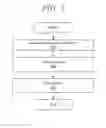 Fig. 04 - Methods and compounds for intensive skin repair and healing including active organic and synthetic compounds