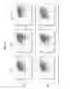 Fig. 05 - Methods and compositions for preventing or treating ophthalmic conditions