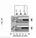 Fig. 06 - Methods and compositions for preventing or treating ophthalmic conditions