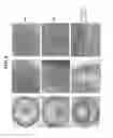 Fig. 12 - Methods and compositions for preventing or treating ophthalmic conditions