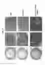 Fig. 13 - Methods and compositions for preventing or treating ophthalmic conditions