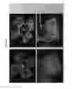Fig. 30 - Methods and compositions for preventing or treating ophthalmic conditions