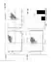 Fig. 40 - Methods and compositions for preventing or treating ophthalmic conditions