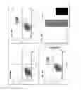 Fig. 41 - Methods and compositions for preventing or treating ophthalmic conditions