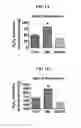 Fig. 02 - MITOCHONDRIAL-TARGETED ANTIOXIDANTS PROTECT AGAINST MECHANICAL VENTILATION-INDUCED DIAPHRAGM DYSFUNCTION AND SKELETAL MUSCLE ATROPHY