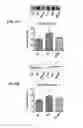 Fig. 09 - MITOCHONDRIAL-TARGETED ANTIOXIDANTS PROTECT AGAINST MECHANICAL VENTILATION-INDUCED DIAPHRAGM DYSFUNCTION AND SKELETAL MUSCLE ATROPHY