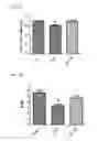 Fig. 17 - MITOCHONDRIAL-TARGETED ANTIOXIDANTS PROTECT AGAINST MECHANICAL VENTILATION-INDUCED DIAPHRAGM DYSFUNCTION AND SKELETAL MUSCLE ATROPHY