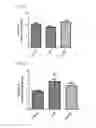 Fig. 23 - MITOCHONDRIAL-TARGETED ANTIOXIDANTS PROTECT AGAINST MECHANICAL VENTILATION-INDUCED DIAPHRAGM DYSFUNCTION AND SKELETAL MUSCLE ATROPHY