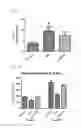 Fig. 24 - MITOCHONDRIAL-TARGETED ANTIOXIDANTS PROTECT AGAINST MECHANICAL VENTILATION-INDUCED DIAPHRAGM DYSFUNCTION AND SKELETAL MUSCLE ATROPHY