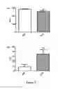 Fig. 04 - Therapy and Prevention of Problem Drinking