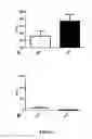 Fig. 08 - Therapy and Prevention of Problem Drinking
