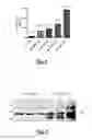 Fig. 02 - Syndecan-2 compositions and methods of use