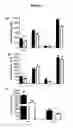 Fig. 04 - Composition including the HIP/PAP protein or one of the derivatives thereof for treating insulin resistance