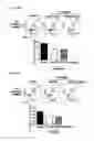 Fig. 13 - Method for treating arthritis using IK factor or nucleic acid encoding IK factor