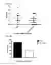 Fig. 14 - Method for treating arthritis using IK factor or nucleic acid encoding IK factor