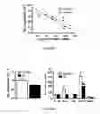 Fig. 02 - LEPTIN FOR TREATING SYSTEMIC INFLAMMATORY RESPONSE SYNDROME