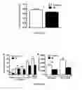 Fig. 03 - LEPTIN FOR TREATING SYSTEMIC INFLAMMATORY RESPONSE SYNDROME