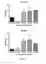 Fig. 13 - Therapeutic for treating clostridium difficile infection
