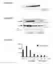 Fig. 03 - Treatment of synucleinopathies